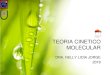 TEMA 9-TEORIA CINETICO MOLECULAR (TEMA 10 …ecaths1.s3.amazonaws.com/quimicafisicafacena/285778365.TEMA9_T… · El modelo cinético molecular del gas • La explicación fundamental