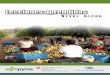 Lecciones aprendidas / Nivel Operativo · El alineamiento con la Política de Estado para el Desarrollo Agroalimentario y el Medio Rural y el ... Dependiendo de la capacidad de gestión