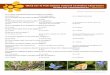 QUIZ sur le Patrimoine naturel en Poitou-Charentes Testez ... · RéponsesRéponses Vous avez entre 0 et 4 réponses justes : Vous avez peu de connaissances sur la biodiversité,