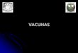 VACUNAS - depa.fquim.unam.mxdepa.fquim.unam.mx/bacteriologia/pdfs/vacunas160317r.pdf · con dosis mínimas del Ag ... Un plásmido suele constituir el vehículo transportador 