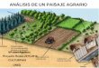 COMENTARIO DE UN PAISAJE AGRARIO - uned.es · ESQUEMA PARA EL ANÁLISIS DE LOS PAISAJES AGRARIOS DEFINICIÓN: Son el resultado visible de la actividad agraria con la acción conjunta