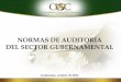 NORMAS DE AUDITORÍA DEL SECTOR GUBERNAMENTALsitios.usac.edu.gt/.../2014/10/normas-de-auditoria-gubernamental.pdf · El control interno gubernamental es un proceso efectuado por el
