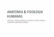 ANATOMIA & FISIOLOGIA HUMANAS - Tese .anatomia & fisiologia humanas fisiologia / posiÇÃo anatÔmica
