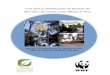 Guía para la Identificación de Bosques de Alto Valor de .... Guia BAVC Perú.pdf · La presente guía es el resultado del proyecto “Formulación de indicadores para la aplicación