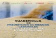 CUADERNILLO - cesfac.es OperarioGRANULAD… · CUADERNILLO DE PREVENCIÓN DE RIESGOS LABORALES PUESTO DE OPERARIO DE GRANULADORA Con la financiación de: Código acción. IS-0025/2010