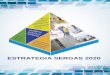 ESTRATEGIA SERGAS 2020 - Consellería de Sanidade · A partir de esta información, se definió la visión compartida del Sergas 2020 que comprende un objetivo (Mejorar la salud de