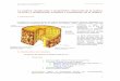 La madera: clasificación y propiedades. Obtención de …iespoetaclaudio.centros.educa.jcyl.es/sitio/upload/La_madera.pdf · Clasificación de la madera. En general las maderas se