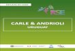 ESTUDIO DE CASO – CARLE & ANDRIOLI - oas.org de Caso... · Carle & Andrioli es una sociedad profesional anónima con tres socios principales, ... agrupa entre sus ... pero explican