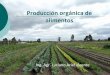 Producción orgánica de alimentos - ASSAl · ANEXO I.- ABONOS, FERTILIZANTES Y MEJORADORES DEL SUELO PERMITIDOS (Previo control de su origen y composición) 1. Algas y productos