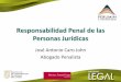 Responsabilidad Penal de las Personas Jurídicasconvencionminera.com/perumin31/encuentros/legal/1545-jose-caro.pdf · contaminación ambiental, delito de seguridad en el trabajo,