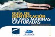 GUÍA DE IDENTIFICACIÓN DE AVES MARINAS … ID Guide_A5... · Extracción de anzuelos de aves marinas 92 Lista De Especies De Albatros 96 Lista de especies de petreles y pardelas