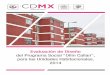 Evaluación de Diseño Ollin Callandata.evalua.cdmx.gob.mx/.../externas/2015/inf_ollincallan_2015.pdf · Evaluación de Diseño Ollin Callan 1 1. Introducción Como se establece en