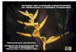 Sondeo del mercado internacional de Heliconias y …alltropicalflowers.com/archivos/libro25.pdf · Sondeo del mercado internacional de Heliconias y Follajes Tropicales Biocomercio