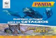 Queremos un hogar para los CETACEOSawsassets.wwf.es/downloads/pandajr19.pdf · 2014-10-29 · normal es que los cachalotes no se sumerjan a tanta profundidad y que coman otros peces,