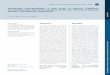 Mammalian Ichnopathology: a case study of Holartic ...boletinsgm.igeolcu.unam.mx/bsgm/vols/epoca04/7002/(10)Oliva.pdf · internos proyectados hacia delante y contrafuerte externo