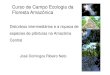 Curso de Campo Ecologia da Floresta … · Curso de Campo Ecologia da Floresta AmazônicaFloresta Amazônica Distúrbios intermediários e a riqueza de espécies de plântulas na