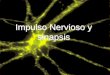 Impulso Nervioso y sinapsis - … · Sinapsis química Los PPE y PPI, se suman algebraicamente en la membrana postsináptica y si alcanzan el umbral se genera un potencial de acción