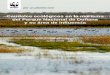 Caudales ecológicos en la marisma del Parque Nacional …assets.wwf.es/downloads/sintesis_caudales_final.pdf · Parque Nacional de Doñana Marisma transformada Antiguos cauces del