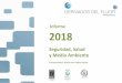 SSMA DDF 2018 informe - DDF... · semiconductores, vidrio, cerámica, industria nuclear, refino de