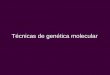 Técnicas de genética molecular · Técnicas de genética molecular - Detección de secuencias de ADN y ARN - Localización de un gen - Estructura y función de una región genómica