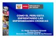 COMO EL PERU ESTA ENFRENTANDO LAS …new.paho.org/hq/dmdocuments/2009/cmn09day1pres4.pdf · infección por el VIH y el sida, la malaria y la tuberculosis), las condiciones maternas