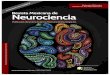 Revista Mexicana de Neurocienciarevmexneuroci.com/wp-content/uploads/2016/11/RevMexNeu-No-6-No… · las mismas estructuras que reciben la información ... que en este caso son células