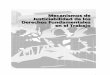 Mecanismos de Justiciabilidad de los Derechos ...catedraunescodh.unam.mx/catedra/catedradh2007/KitEmpresaDerecho... · Sistema Interamericano de Protección de los Derechos Humanos