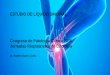 Presentación de PowerPoint · -artritis sépticas ... con luz polarizada y compensador o ... ARTROSIS/MECÁNICO 2- LÍQUIDO MODERADAMENTE O INTESAMENTE INFLAMATORIO