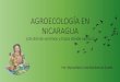 AGROECOLOGÍA EN NICARAGUA · mediante la realización de buenas practicas productivas. OBJETO: Fomentar el desarrollo de los sistemas de producción