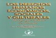 COMISIÓN NACIONAL DE LOS DERECHOS HUMANOSappweb.cndh.org.mx/biblioteca/archivos/pdfs/DH_31.pdf · de Derechos Económicos, Sociales y Culturales ... vida cultural y a gozar de los