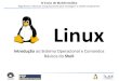 ao Sistema Operacional e Comandos Básicos do Shelllge.ibi.unicamp.br/cursobioinfo2013/aula02.pdf · pacotes mais completos, que poupassem alguns esforços na instalação do Linux
