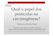 Qual o papel dos pesticidas na carcinogênese?bvsms.saude.gov.br/bvs/publicacoes/inca/Tatiana_pesticidas_cancer.… · Etapas envolvidas em estudos de carcinogênese: Estudos epidemiológicos