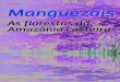 Artigo Manguezais CH264 - Educadores · litoral atlântico e recortadas por rios e canais de águas escuras ... tinta ou mangue-preto (nome dado à espécie Laguncularia racemosa)