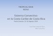 Sistema Convectivo en la Costa Caribe de Costa Rica · acarrean grandes precipitaciones sobre la costa Caribe de Costa Rica. •Describir con datos de ^Wingridds ... Diapositivas