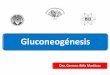 Gluconeogénesis · •Ayuno de más de 8 horas Fuente primaria de glucosa en sangre La energía (ATP) •la degradación de ácidos grasos (β-oxidación) para el proceso: •Lactato