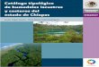 Catálogo tipológico de humedales lacustres y costeros … · de los humedales costeros y continentales, Pronatura Chiapas, A.C, estableció en el año 2001 su programa de conservación