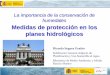 La importancia de la conservación de humedales …hispagua.cedex.es/sites/default/files/proteccion_planes_hidrologic... · Implantar progresivamente asignaciones hídricas para los