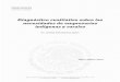 Diagnóstico cualitativo sobre las necesidades de ...cedoc.inmujeres.gob.mx/documentos_download/101247.pdf · El Diagnóstico cualitativo sobre las necesidades de empresarias indígenas