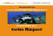 Curso de fotografía submarina impartido por Carlos ... · Curso de fotografía submarina impartido por Carlos Minguell Benthos buceo EL HIERRO 4 Más información: Para más información