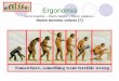 Ergonomia - data.over-blog-kiwi.comdata.over-blog-kiwi.com/1/91/81/87/20170728/ob_272af7_ergo-inform... · Homo erectus – Homo habilis – Homo sapiens – Homo termino videns (?)