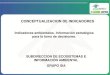 CONCEPTUALIZACION DE INDICADORES - Plataforma virtual de ...capacitacion.sirh.ideam.gov.co/encuentro/Ponencias/PDF_Conversato... · CONCEPTUALIZACION DE INDICADORES Indicadores ambientales