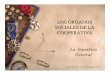 LOS ÓRGANOS SOCIALES DE LA COOPERATIVAocw.uc3m.es/derecho-privado/derecho-de-las-corporativas/material... · Por otro medio que garantice su recepción ... Elecciones o revocaciones