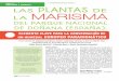 DEL PARQUE NACIONAL DE DOÑANA (ESPAÑA) - … · conservación de los ecosistemas del Parque Nacional de Doñana, como la disminución del volumen de agua de la marisma, el deterioro