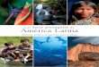 Las de América Latina - cmsdata.iucn.orgcmsdata.iucn.org/downloads/areasprotegidaslasur.pdf · años, numerosos proyectos relativos a la conservación de los parques nacionales 