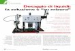 Dosaggio di liquidi: la soluzione è “su misura” Assemblaggio set14.pdf · Il robot cartesiano della serie Optima F7000N. The JB1113N dispenser has always been the most marketed