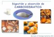 Digestión y absorción de CARBOHIDRATOS · Menor frecuencia de: ... Problemas: Putrefacción y fermentación: Producen gases: CO 2, metano, H 2, N 2 y ác.sulfhídrico