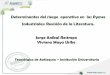Determinantes del riesgo operativo en las Pymes ... · Las Pymes en Colombia para el año 2013 ... 2635-2658. doi:10.1016/j.jbankfin.2005.11.008 ... Introduction: Special section