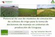 Potencial de uso de modelos de simulación de cultivos …. Charla 1-Modelo Trigo... · Potencial de uso de modelos de simulación de cultivos de trigo para la toma de decisiones
