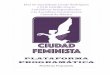 Plataforma programática Ciudad Feminista Asamblea ... · Distrito Federal iniciado en 1997 cuando ciudadanas y ciudadanas pudimos elegir por primera ... laboral y profesional, 