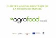 CLÚSTER AGROALIMENTARIO DE LA REGIÓN DE … CEIDEA/100210Murcia_AgroF… · ORIGEN, HISTORIA Y EVOLUCIÓN. ... IDENTIFICAR y PROMOVER la puesta en marcha de ... Desarrollo de productos